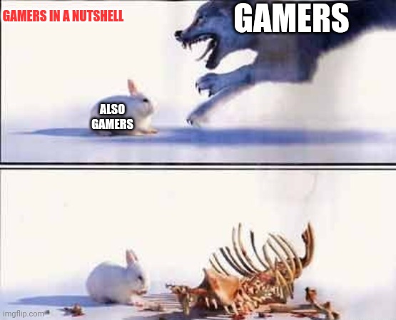 Rabbit Vs Wolf | GAMERS IN A NUTSHELL; GAMERS; ALSO GAMERS | image tagged in rabbit vs wolf | made w/ Imgflip meme maker