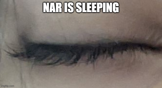 how is she not waking up im legit on top of her and my camera is making a click sound | NAR IS SLEEPING | made w/ Imgflip meme maker