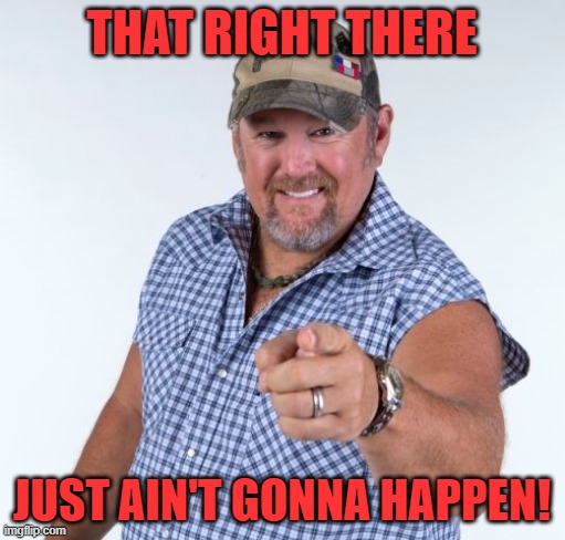 Larry the Cable Guy | THAT RIGHT THERE JUST AIN'T GONNA HAPPEN! | image tagged in larry the cable guy | made w/ Imgflip meme maker