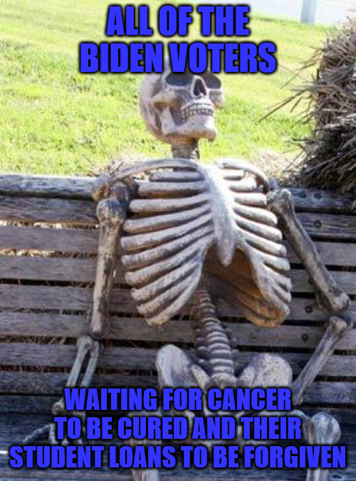 Waiting on Biden | ALL OF THE BIDEN VOTERS; WAITING FOR CANCER TO BE CURED AND THEIR STUDENT LOANS TO BE FORGIVEN | image tagged in memes,waiting skeleton | made w/ Imgflip meme maker