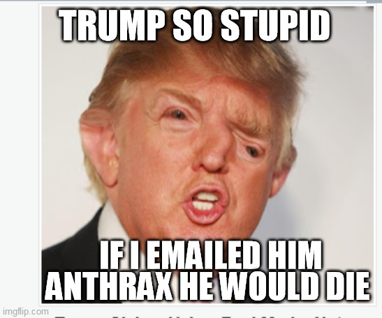 trumb ass | TRUMP SO STUPID; IF I EMAILED HIM ANTHRAX HE WOULD DIE | image tagged in trump,dumb,anthrax,email | made w/ Imgflip meme maker