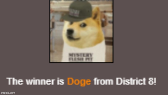 MYSTERY FLESH PIT FAN DOGE WINS! | made w/ Imgflip meme maker