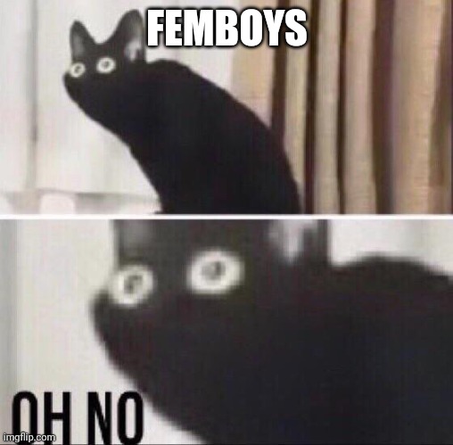 Oh no cat | FEMBOYS | image tagged in oh no cat | made w/ Imgflip meme maker
