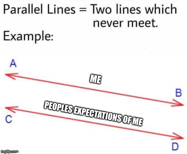 Me and parallel lines | ME; PEOPLES EXPECTATIONS OF ME | image tagged in parallel lines | made w/ Imgflip meme maker