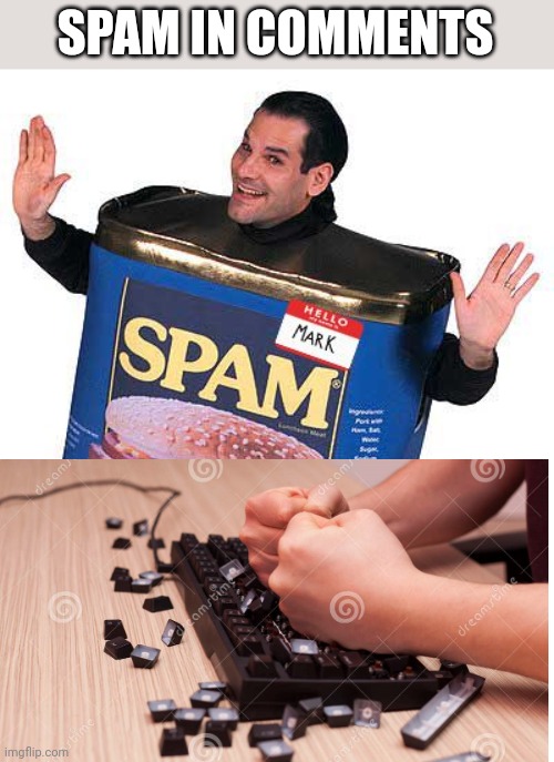 Spam | SPAM IN COMMENTS | image tagged in spam | made w/ Imgflip meme maker