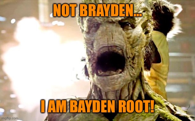 groot | NOT BRAYDEN…; I AM BAYDEN ROOT! | image tagged in groot | made w/ Imgflip meme maker