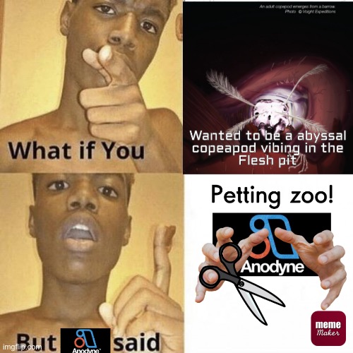petting zoo | made w/ Imgflip meme maker