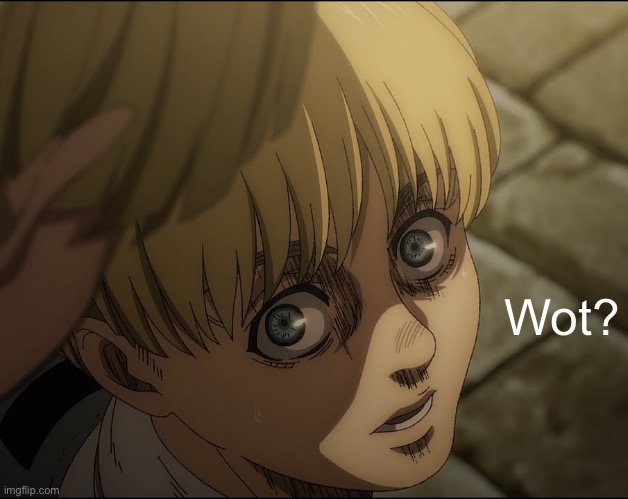 Armin yelena | Wot? | image tagged in armin yelena | made w/ Imgflip meme maker