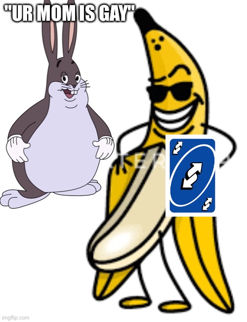 bananananananana | "UR MOM IS GAY" | image tagged in bananananananana | made w/ Imgflip meme maker