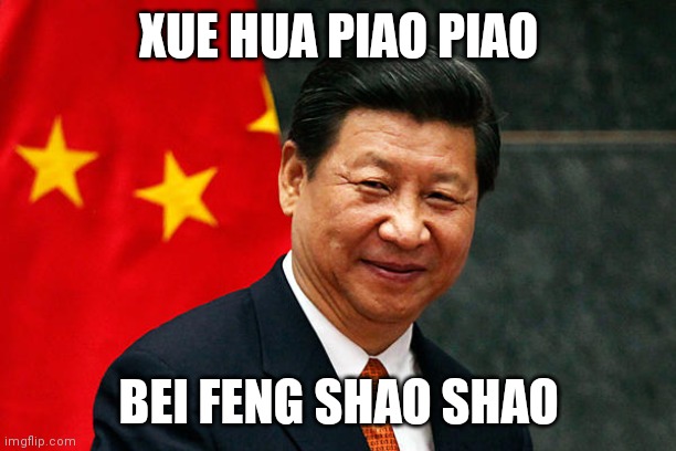 Xi Jinping | XUE HUA PIAO PIAO; BEI FENG SHAO SHAO | image tagged in xi jinping | made w/ Imgflip meme maker