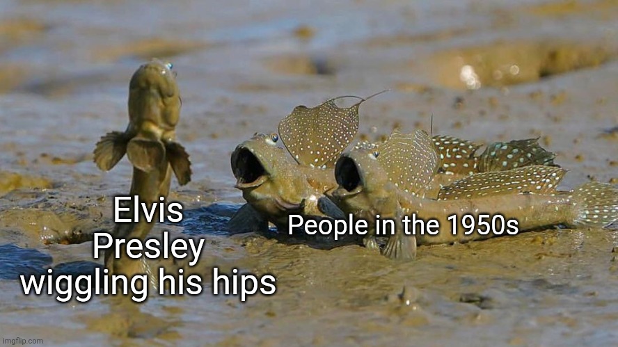 Wow! What an entertainer!!!!! | Elvis Presley wiggling his hips; People in the 1950s | image tagged in impressed mudskippers pog | made w/ Imgflip meme maker