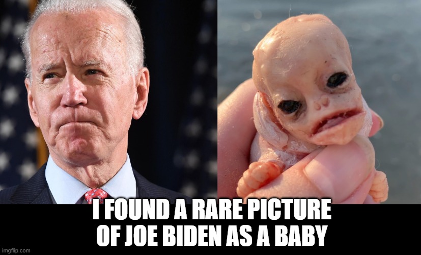 baby?  A baby what?? | I FOUND A RARE PICTURE OF JOE BIDEN AS A BABY | image tagged in stupid liberals,funny memes,political meme,politics lol,political humor | made w/ Imgflip meme maker