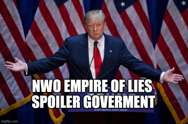 Donald Trump | NWO EMPIRE OF LIES
 SPOILER GOVERMENT | image tagged in donald trump | made w/ Imgflip meme maker