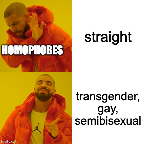 I have one of the peeps in my class. Except hes not a homophobe. | straight; HOMOPHOBES; transgender, gay, semibisexual | image tagged in memes,drake hotline bling | made w/ Imgflip meme maker
