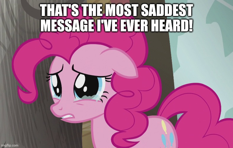 THAT'S THE MOST SADDEST MESSAGE I'VE EVER HEARD! | made w/ Imgflip meme maker