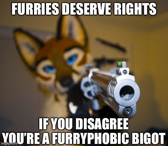 Furry with gun | FURRIES DESERVE RIGHTS; IF YOU DISAGREE YOU’RE A FURRYPHOBIC BIGOT | image tagged in furry with gun | made w/ Imgflip meme maker