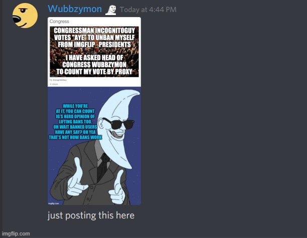 In case if Cthonic tries to delete the meme | image tagged in meme,discord | made w/ Imgflip meme maker