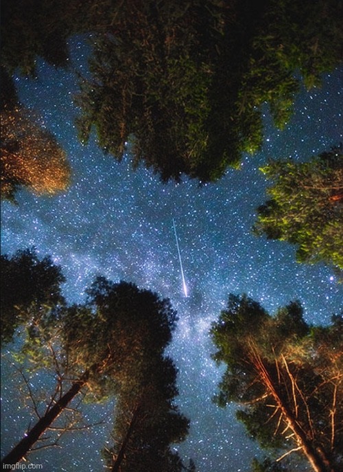 Looking up | image tagged in stars,trees,beautiful,beautiful piece,picture,photography | made w/ Imgflip meme maker