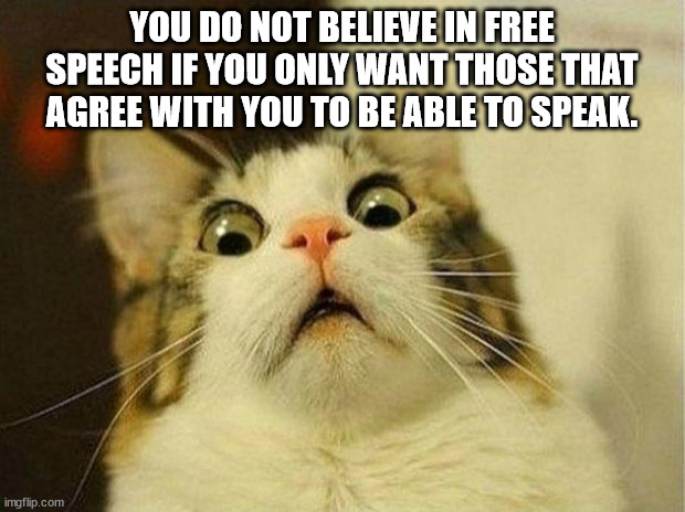 free Meows | YOU DO NOT BELIEVE IN FREE SPEECH IF YOU ONLY WANT THOSE THAT AGREE WITH YOU TO BE ABLE TO SPEAK. | image tagged in memes,scared cat | made w/ Imgflip meme maker