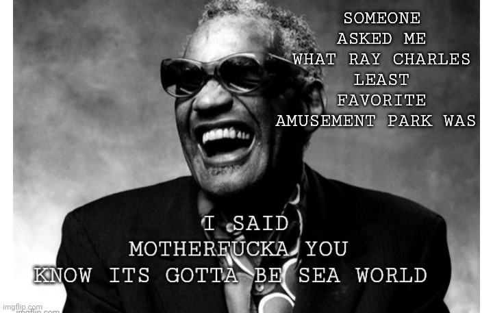 Sea Worlt' See World | SOMEONE ASKED ME WHAT RAY CHARLES LEAST FAVORITE AMUSEMENT PARK WAS | image tagged in ray charles | made w/ Imgflip meme maker
