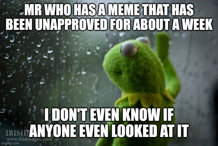 kermit window | MR WHO HAS A MEME THAT HAS BEEN UNAPPROVED FOR ABOUT A WEEK I DON'T EVEN KNOW IF ANYONE EVEN LOOKED AT IT | image tagged in kermit window | made w/ Imgflip meme maker
