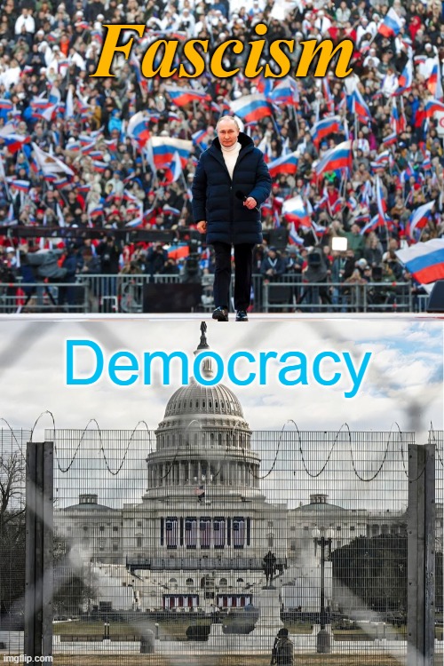 Fascism; Democracy | image tagged in freedumb | made w/ Imgflip meme maker
