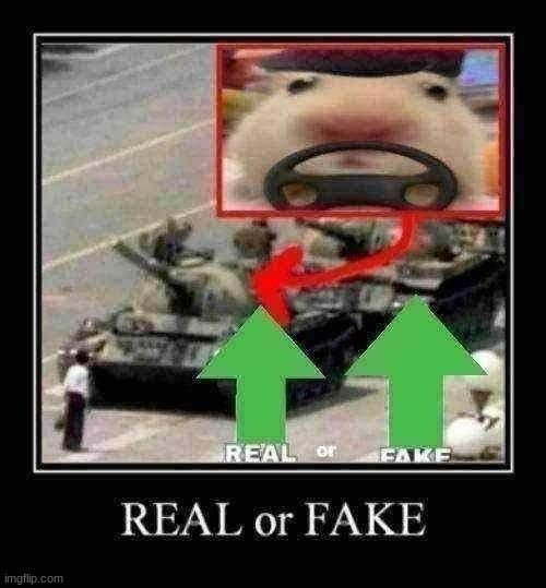 REAL or FAKE | made w/ Imgflip meme maker