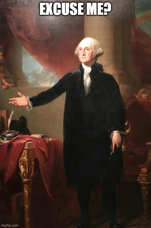 George Washington | EXCUSE ME? | image tagged in george washington | made w/ Imgflip meme maker