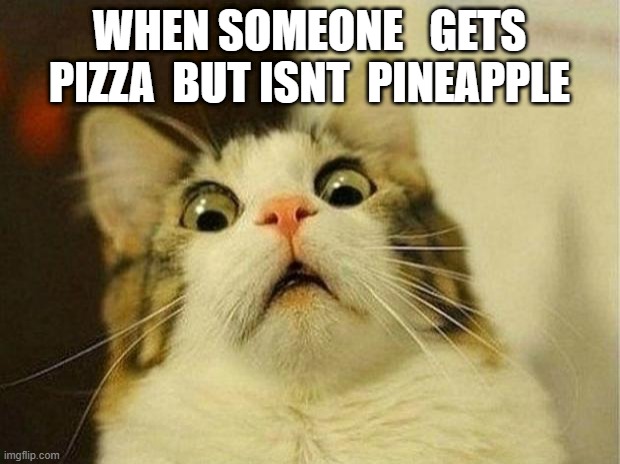 Scared Cat Meme | WHEN SOMEONE   GETS PIZZA  BUT ISNT  PINEAPPLE | image tagged in memes,scared cat | made w/ Imgflip meme maker