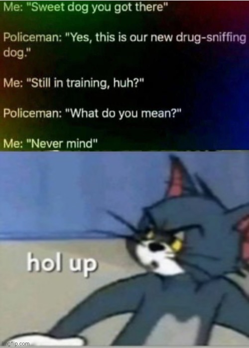 Uhhh- | image tagged in hol up,memes,fun,funny,whoops | made w/ Imgflip meme maker