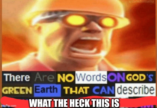 there are no words on god's green earth | WHAT THE HECK THIS IS | image tagged in there are no words on god's green earth | made w/ Imgflip meme maker
