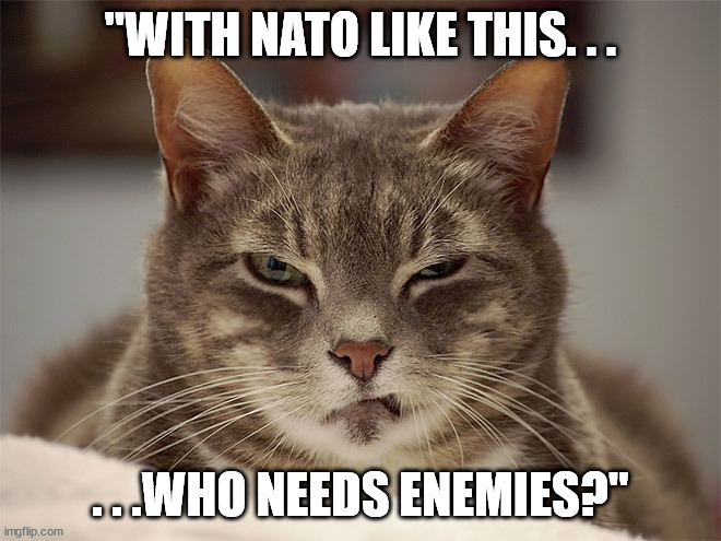 Sarcasm Cat | "WITH NATO LIKE THIS. . . . . .WHO NEEDS ENEMIES?" | image tagged in sarcasm cat | made w/ Imgflip meme maker