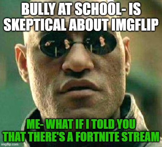 Sending this via school PC | BULLY AT SCHOOL- IS SKEPTICAL ABOUT IMGFLIP; ME- WHAT IF I TOLD YOU THAT THERE'S A FORTNITE STREAM | image tagged in what if i told you | made w/ Imgflip meme maker