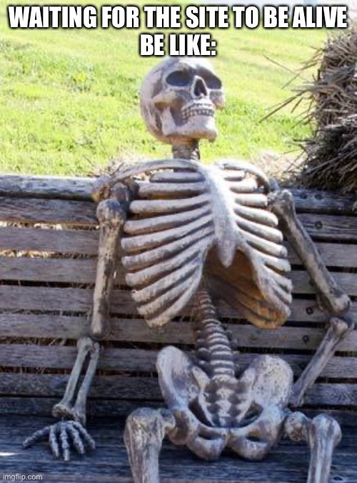 Waiting Skeleton | WAITING FOR THE SITE TO BE ALIVE
BE LIKE: | image tagged in memes,waiting skeleton | made w/ Imgflip meme maker