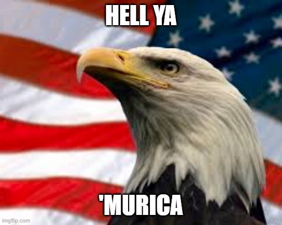 Murica Patriotic Eagle | HELL YA 'MURICA | image tagged in murica patriotic eagle | made w/ Imgflip meme maker