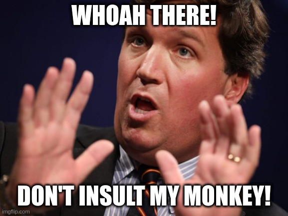 When someone disses MTG | WHOAH THERE! DON'T INSULT MY MONKEY! | image tagged in tucker fucker | made w/ Imgflip meme maker