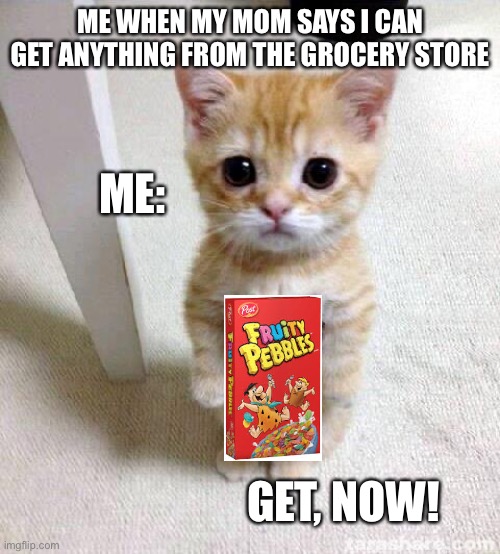 Cute Cat | ME WHEN MY MOM SAYS I CAN GET ANYTHING FROM THE GROCERY STORE; ME:; GET, NOW! | image tagged in memes,cute cat | made w/ Imgflip meme maker