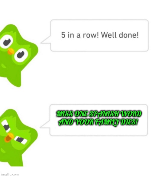 Don't cross the duolingo owl! | MISS ONE SPANISH WORD AND YOUR FAMILY DIES! | image tagged in duolingo 5 in a row,owl,learn,spanish | made w/ Imgflip meme maker