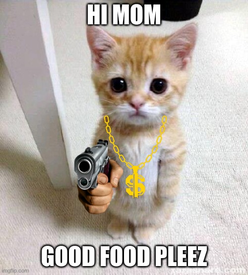 Cute Cat Meme | HI MOM; GOOD FOOD PLEEZ | image tagged in memes,cute cat | made w/ Imgflip meme maker