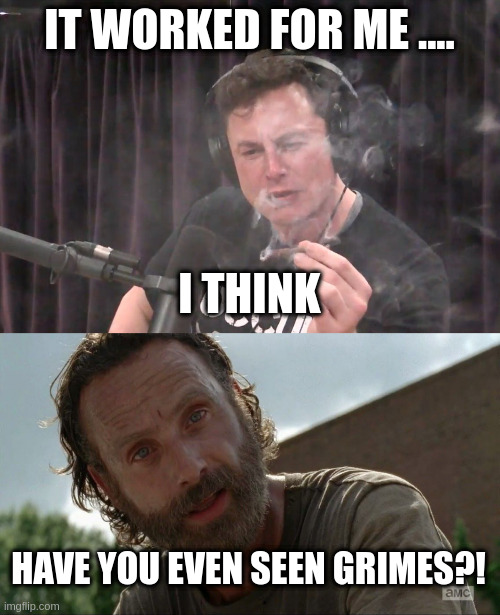 IT WORKED FOR ME .... I THINK; HAVE YOU EVEN SEEN GRIMES?! | image tagged in how long can i hold breath for,rick grimes | made w/ Imgflip meme maker