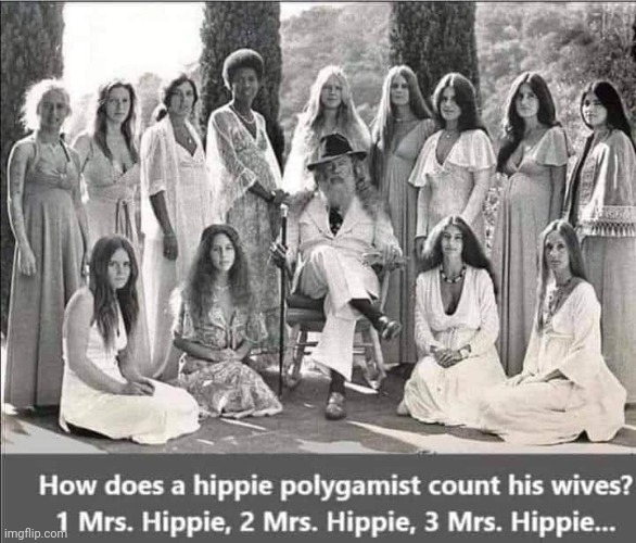 Millennials will need help with this one | image tagged in hippies,thoroughly modern marriage,make up your mind | made w/ Imgflip meme maker