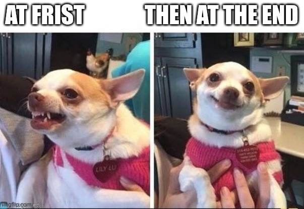 Angry Happy Chihuahua | AT FRIST              THEN AT THE END | image tagged in angry happy chihuahua | made w/ Imgflip meme maker