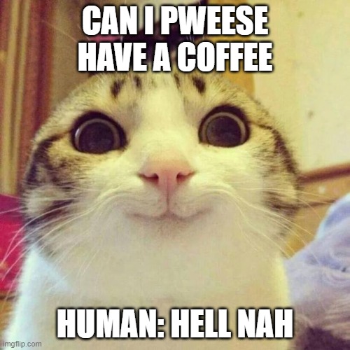 Smiling Cat | CAN I PWEESE HAVE A COFFEE; HUMAN: HELL NAH | image tagged in memes,smiling cat | made w/ Imgflip meme maker