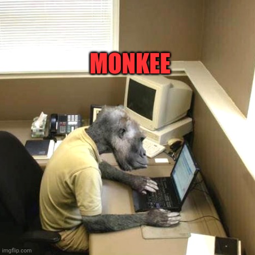 Monkey Business Meme | MONKEE | image tagged in memes,monkey business | made w/ Imgflip meme maker