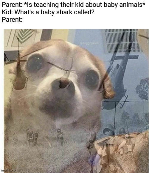 The PTSD Chihuahua is Back! | Parent: *Is teaching their kid about baby animals*
Kid: What's a baby shark called?
Parent: | image tagged in ptsd chihuahua,baby shark | made w/ Imgflip meme maker