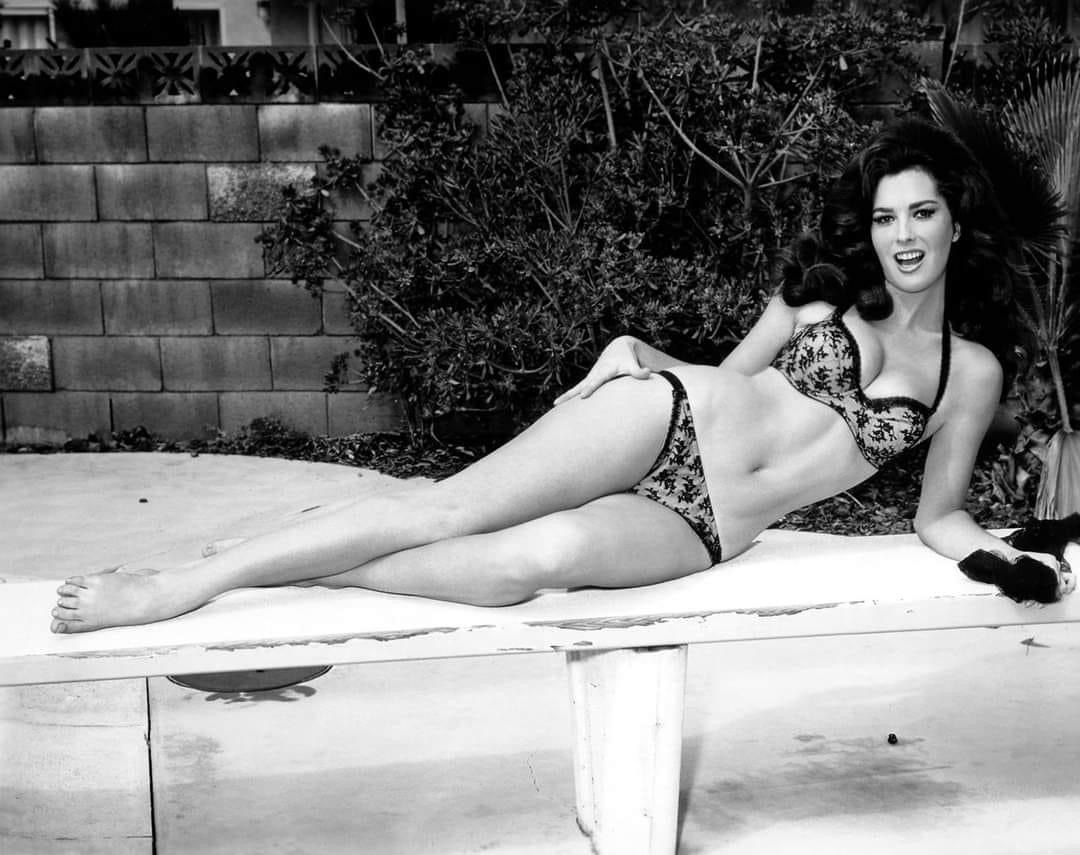 Edy Williams Blank Meme Template