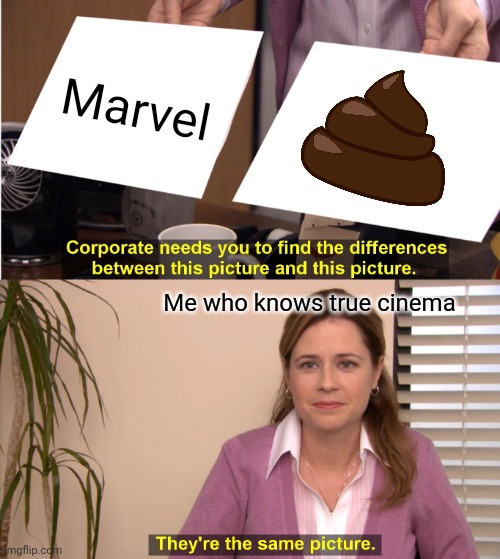 Scorcese was right! | Marvel; Me who knows true cinema | image tagged in memes,they're the same picture,marvel | made w/ Imgflip meme maker