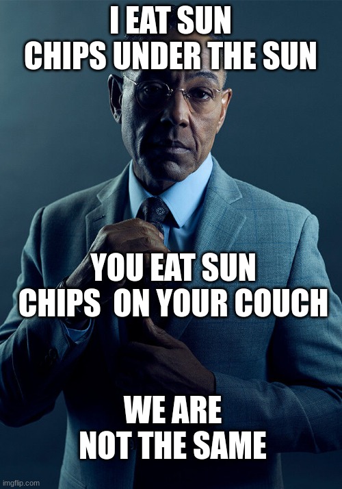 Gus Fring we are not the same | I EAT SUN CHIPS UNDER THE SUN; YOU EAT SUN CHIPS  ON YOUR COUCH; WE ARE NOT THE SAME | image tagged in gus fring we are not the same | made w/ Imgflip meme maker