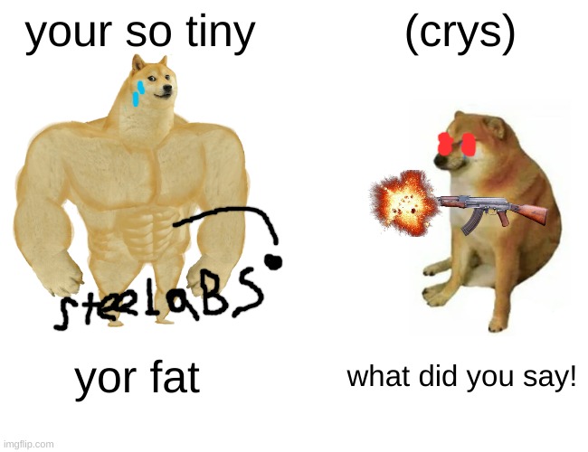 Buff Doge vs. Cheems |  your so tiny; (crys); yor fat; what did you say! | image tagged in memes,buff doge vs cheems | made w/ Imgflip meme maker