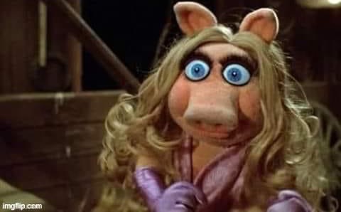 Miss Piggy shocked | image tagged in miss piggy shocked | made w/ Imgflip meme maker